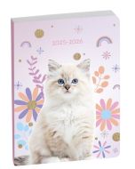 Agenda Scolaire 2025/2026 - CHAT CLAIREFONTAINE Forum